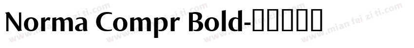 Norma Compr Bold字体转换